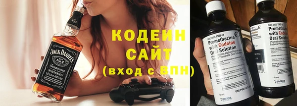 дурь Арсеньев