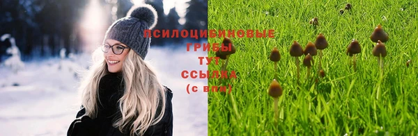 дурь Арсеньев